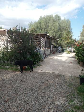 immagine annuncio 8 di 15