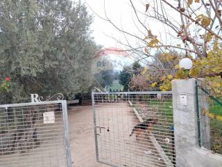 Terreno agricolo in vendita a noto 