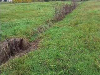 Terreno residenziale all'asta a cesena località pievesestina