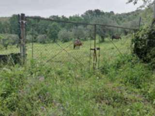 Terreno agricolo all'asta a ferentino via ponte sereno