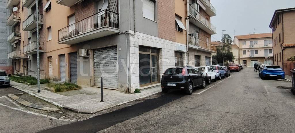 immagine annuncio 3 di 4