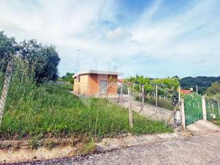 Terreno agricolo in vendita a termoli via degli abeti