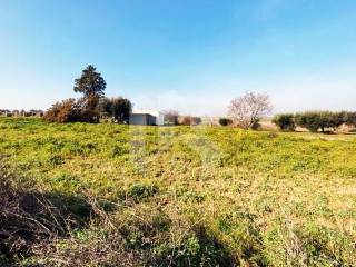 Terreno agricolo in vendita a termoli via mincio s.n.c.