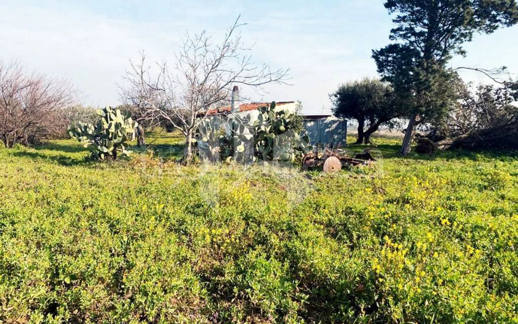 immagine annuncio 8 di 12