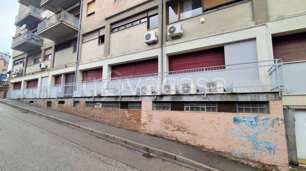 immagine annuncio 1 di 6
