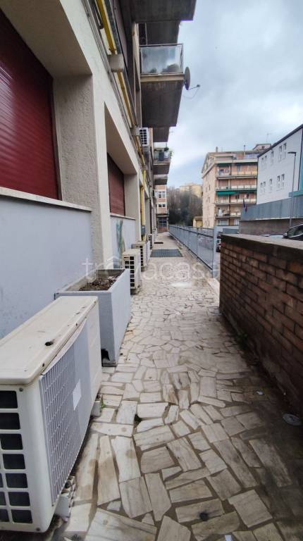 immagine annuncio 4 di 6
