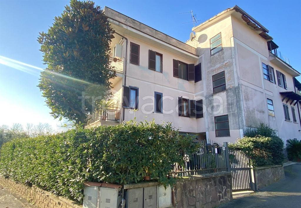 immagine annuncio 7 di 14