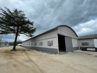 Capannone in affitto a sgurgola zona industriale