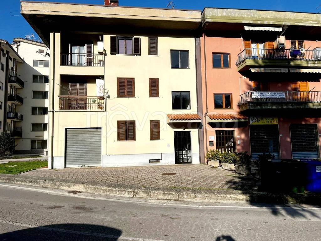 immagine annuncio 12 di 15