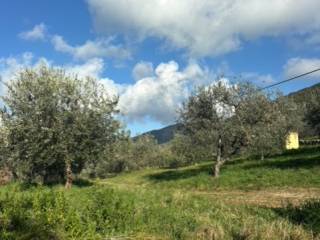 Terreno agricolo in vendita ad amelia via rimembranze, 8