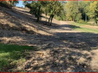 Terreno agricolo all'asta a cagli via flaminia nord