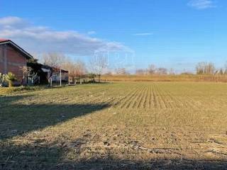 Terreno agricolo in vendita a vigonza via fratelli cervi, 27