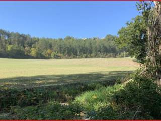 Terreno agricolo all'asta a cagli sp3