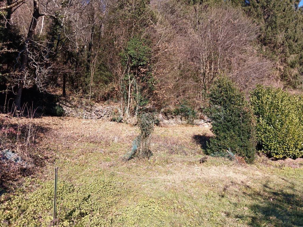 immagine annuncio 5 di 6
