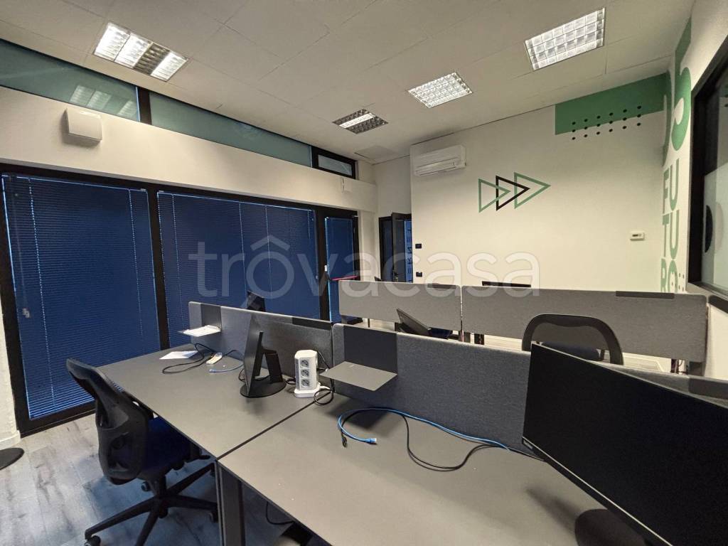 immagine annuncio 5 di 14