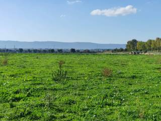 Terreno agricolo in vendita a monopoli contrada capitolo