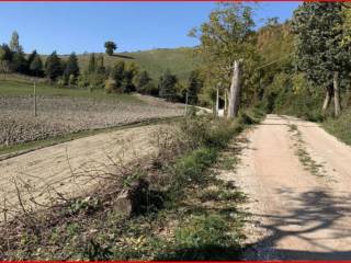 Terreno agricolo all'asta a cagli sp3