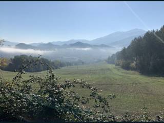 Terreno agricolo all'asta a cagli strada monte peruzzo