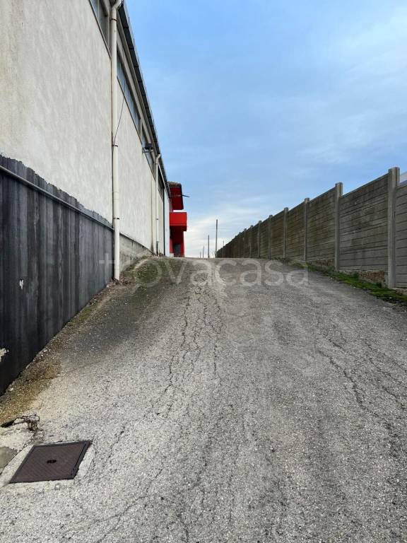 immagine annuncio 2 di 12