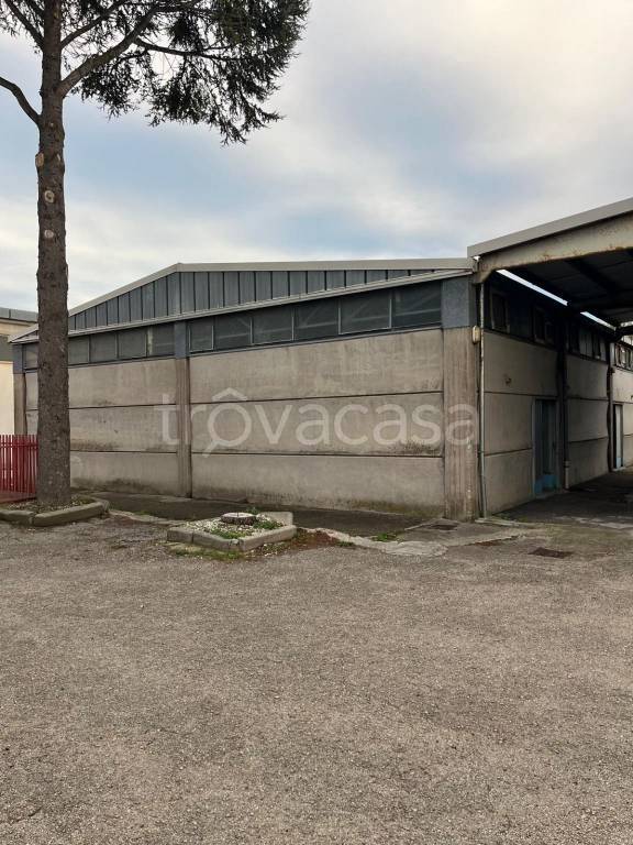 immagine annuncio 3 di 12