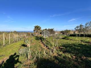 Terreno agricolo in vendita a partinico contrada passarello