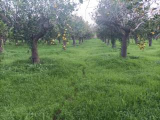 Cascina in vendita a lascari sp28