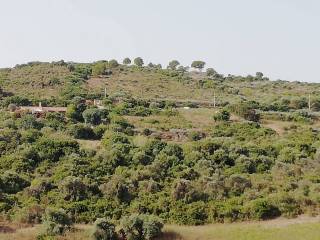 Terreno agricolo in vendita a castelsardo via li russi