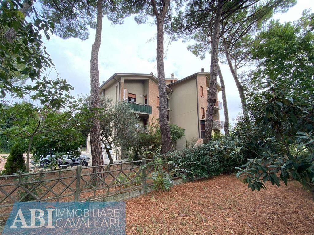 immagine annuncio 2 di 8