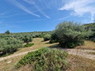 Terreno residenziale in vendita a sassari 