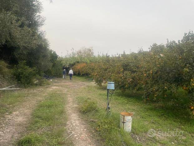 immagine annuncio 7 di 13