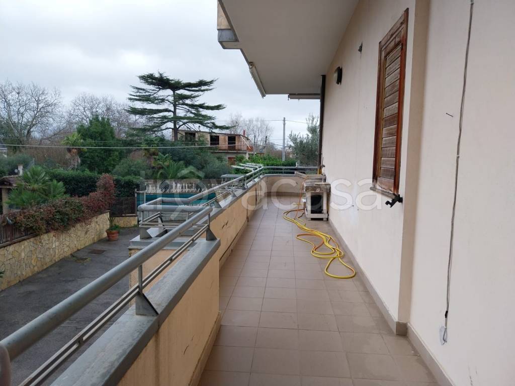 immagine annuncio 11 di 14