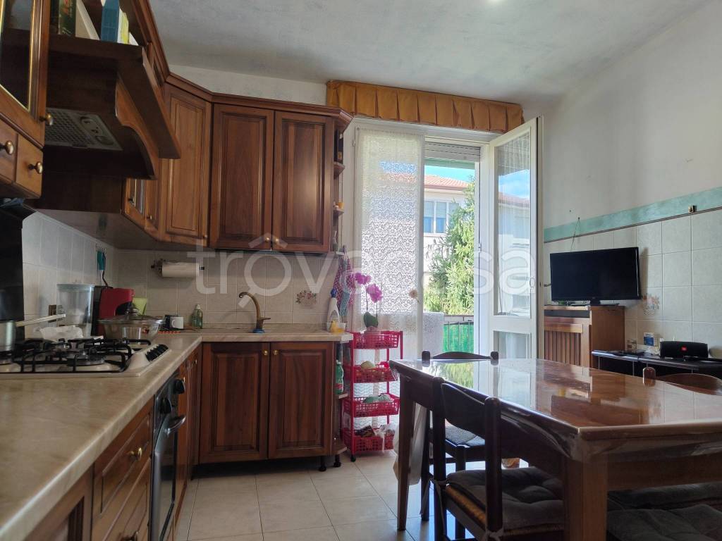 immagine annuncio 1 di 14