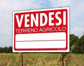 Terreno agricolo in vendita a rufina via borgo nuovo