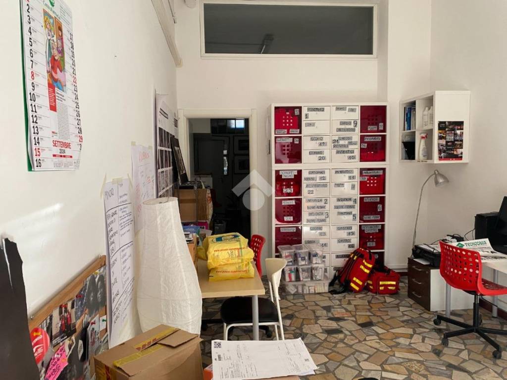 immagine annuncio 1 di 11