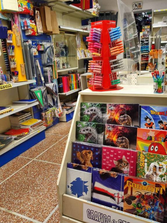 immagine annuncio 11 di 15