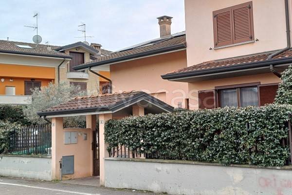 immagine annuncio 1 di 15