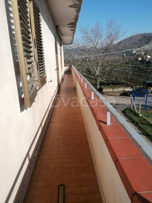 immagine annuncio 8 di 11