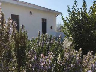 Terreno agricolo in vendita a castiglione a casauria contrada ciappino