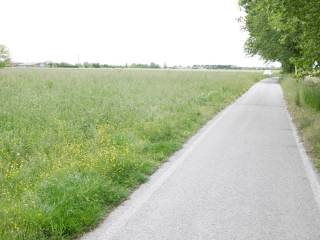 Terreno agricolo in vendita a monselice 