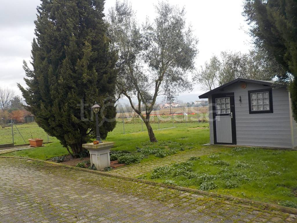 immagine annuncio 9 di 15
