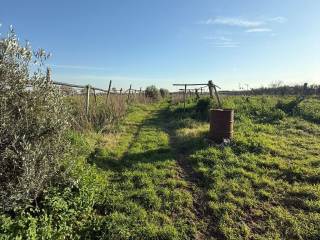 Terreno agricolo in vendita a cisterna di latina via enrico toti