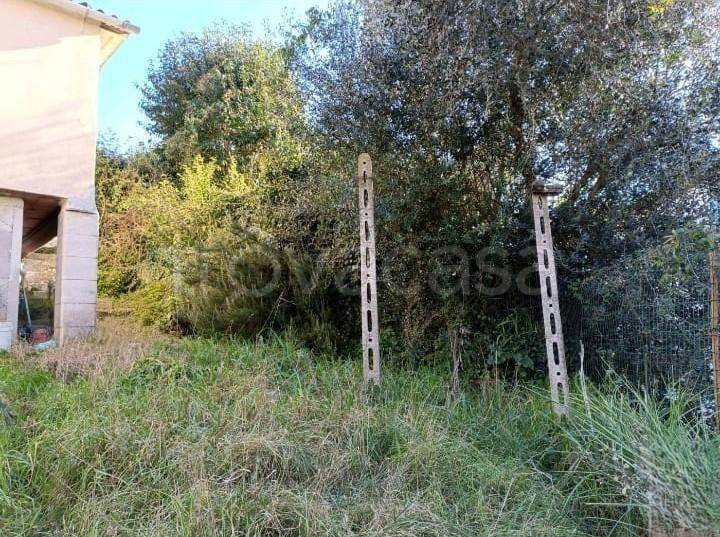 immagine annuncio 6 di 8