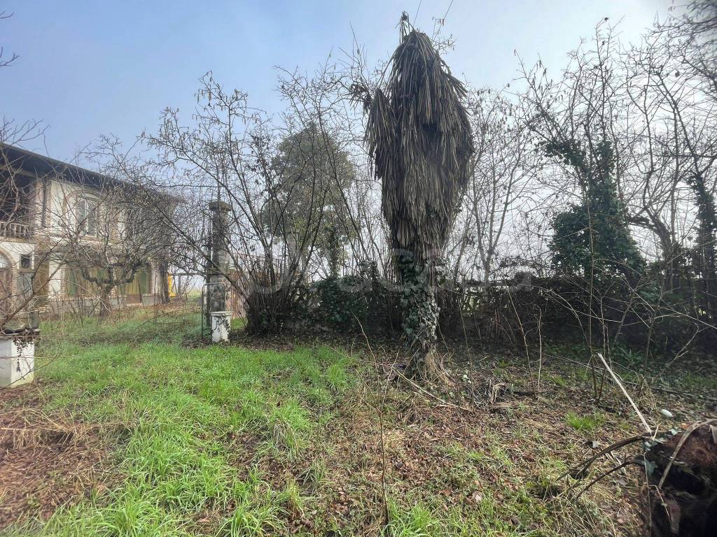 immagine annuncio 4 di 9