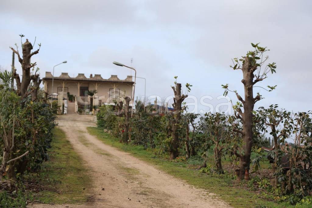 immagine annuncio 8 di 11