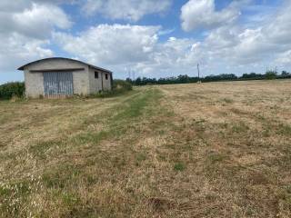 Terreno agricolo in vendita a cisterna di latina via bufolareccia