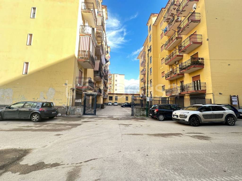 immagine annuncio 3 di 9