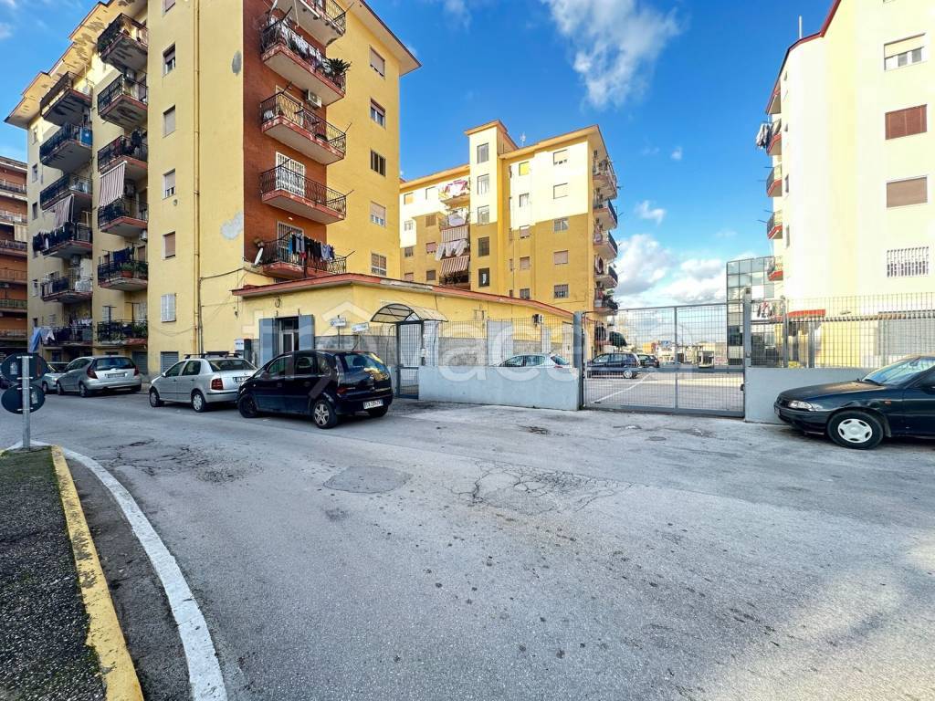 immagine annuncio 5 di 9