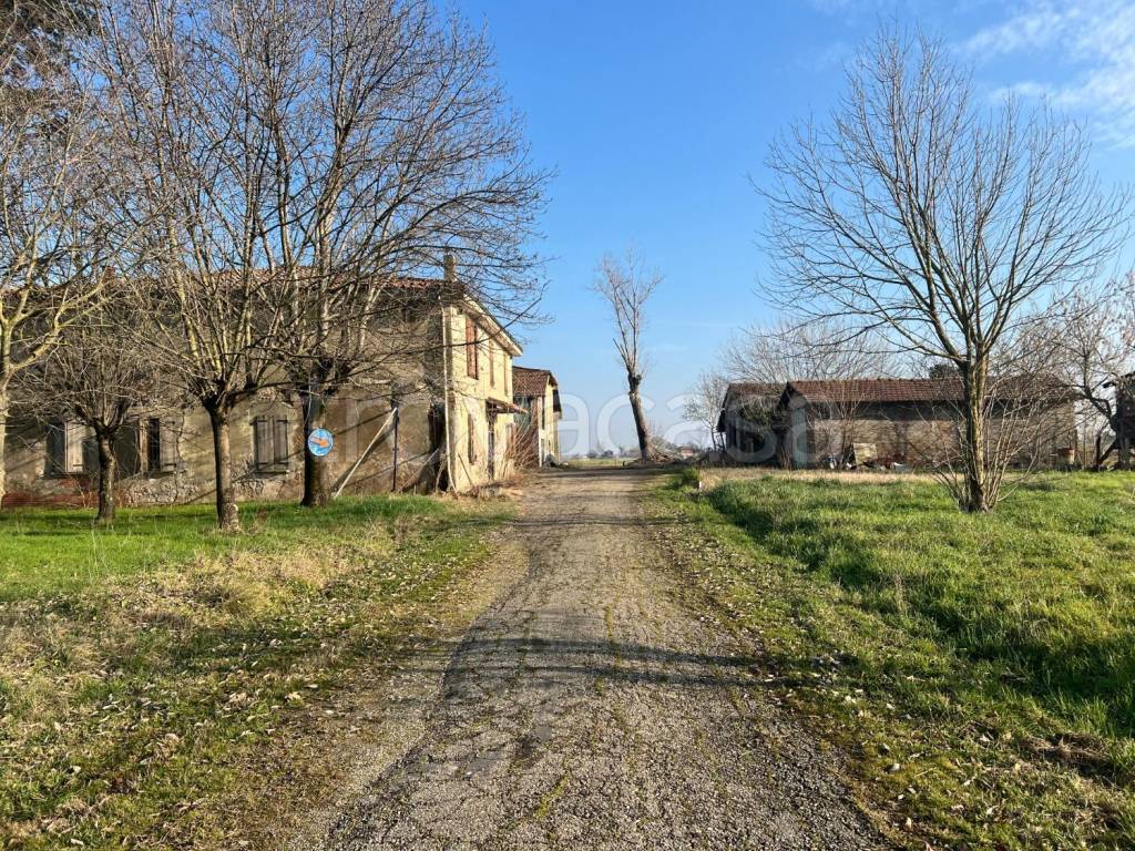immagine annuncio 1 di 12