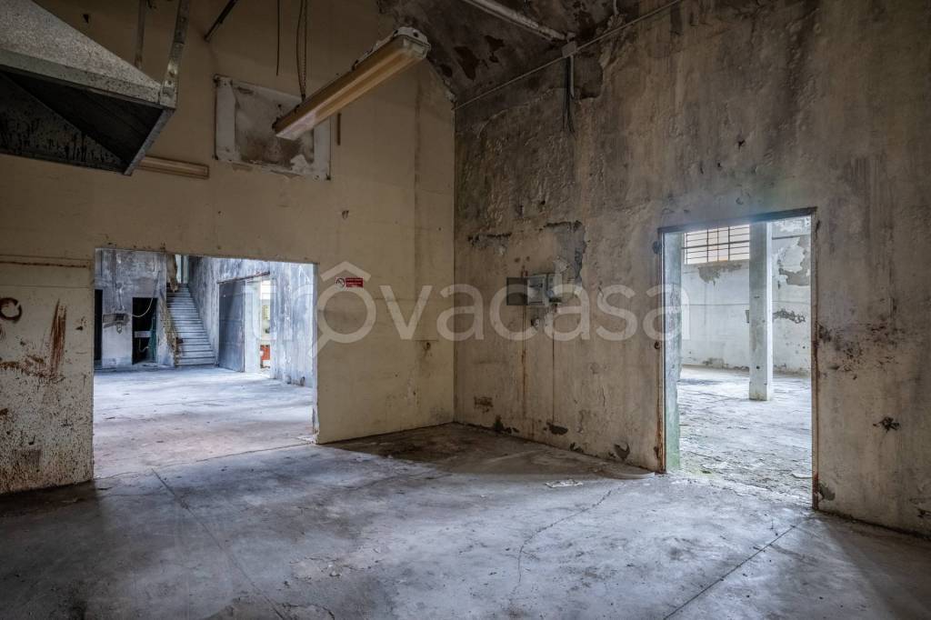 immagine annuncio 5 di 12