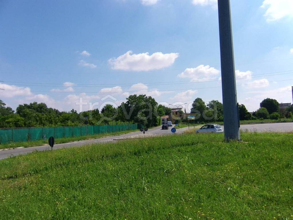 immagine annuncio 2 di 12